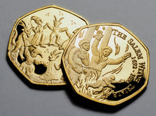 Load image into Gallery viewer, The Salem Witch Trials - 24ct Gold