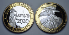 Load image into Gallery viewer, &#39;I Survived 2020&#39; Plague Doctor - Silver &amp; 24ct Gold